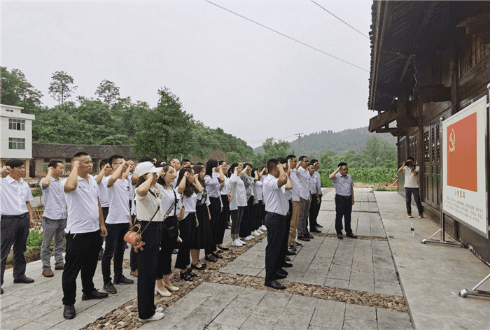 公司開(kāi)展“支部聯(lián)建謀奮進(jìn)，產(chǎn)業(yè)互鑒促發(fā)展”主題黨日活動(dòng)