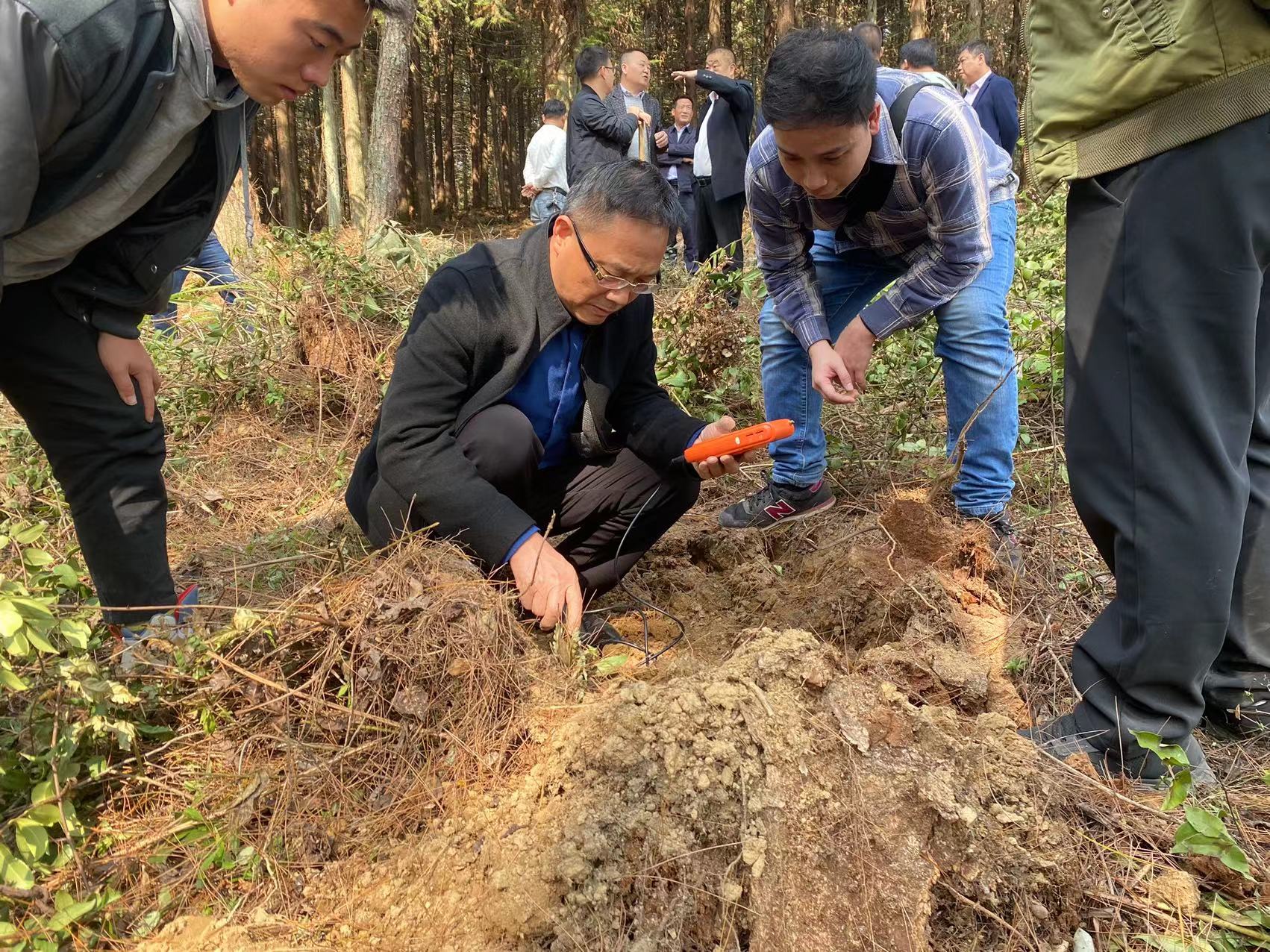 楊仁德赴石阡縣林下羊肚菌省級示范基地調研